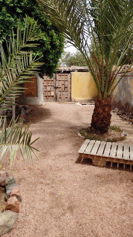 Jillyfish House, Deine Oase In Zwei Palmengarten, Central Am 'Lighthouse' Dahab Exterior photo