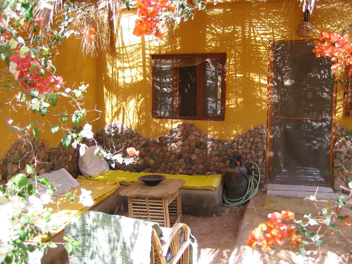 Jillyfish House, Deine Oase In Zwei Palmengarten, Central Am 'Lighthouse' Dahab Exterior photo